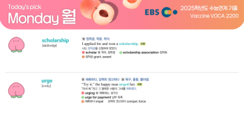 2025년 11월 3일 월요일 Today's Pick