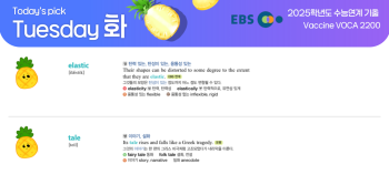 2025년 11월 11일 화요일 Today's Pick