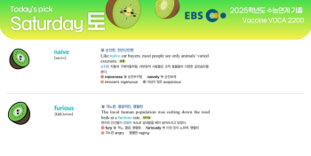 2025년 11월 15일 토요일 Today's Pick