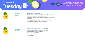 2025년 11월 18일 화요일 Today's Pick