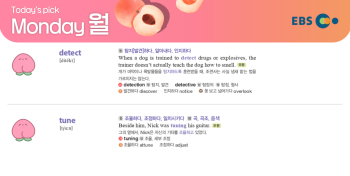 2026년 2월 16일 월요일 Today's Pick