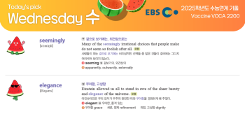 2026년 2월 18일 수요일 Today's Pick