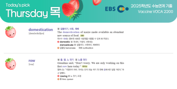 2026년 2월 19일 목요일 Today's Pick