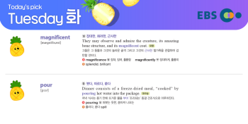 2026년 3월 3일 화요일 Today's Pick