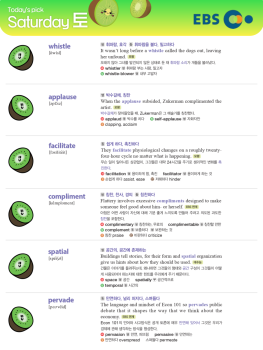 2026년 4월 25일 토요일 Today's Pick