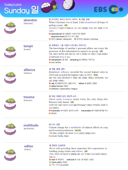 2026년 5월 24일 일요일 Today's Pick